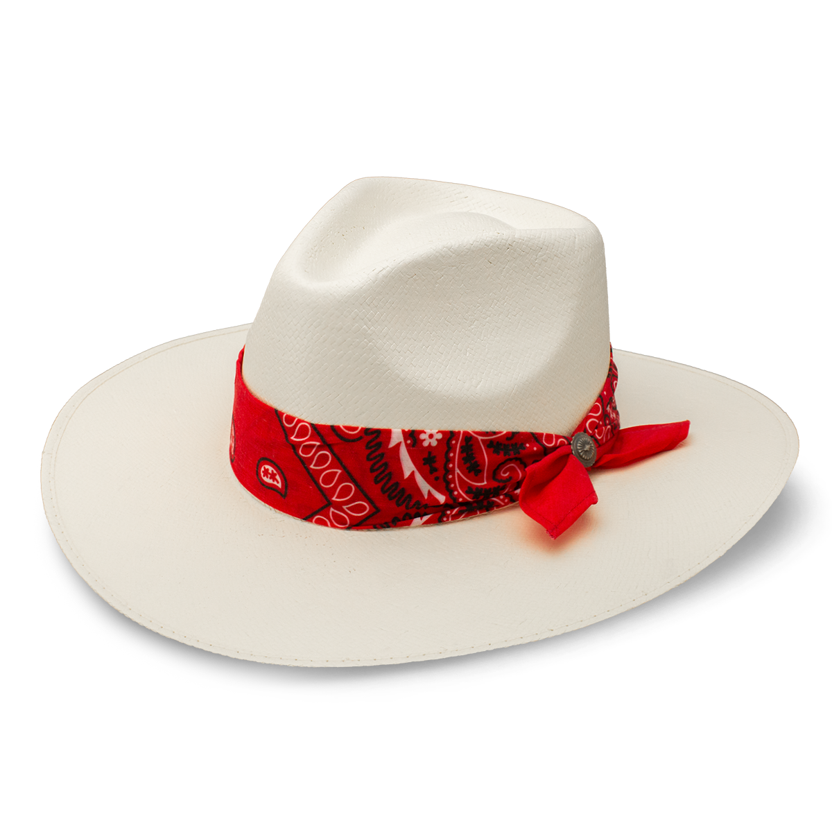 Dreamcatcher Fashion Hat