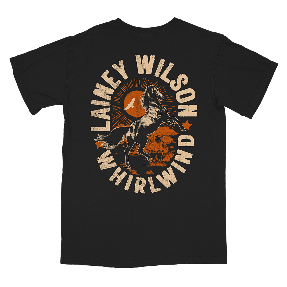 Whirlwind Horse T Shirt