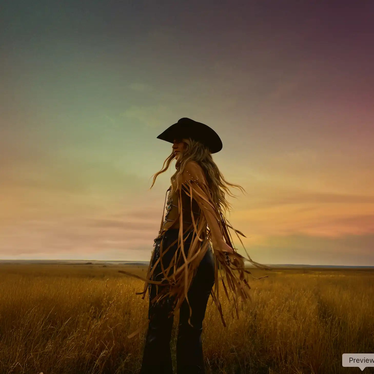 A woman in a cowboy hat and fringed top.