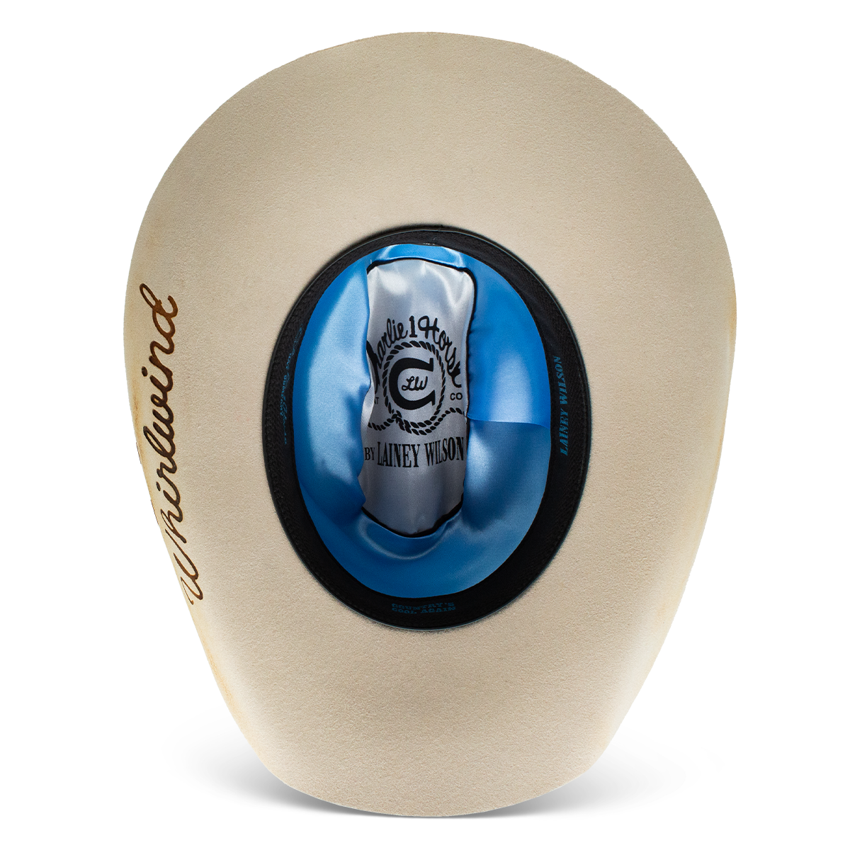 Whirlwind Western Hat